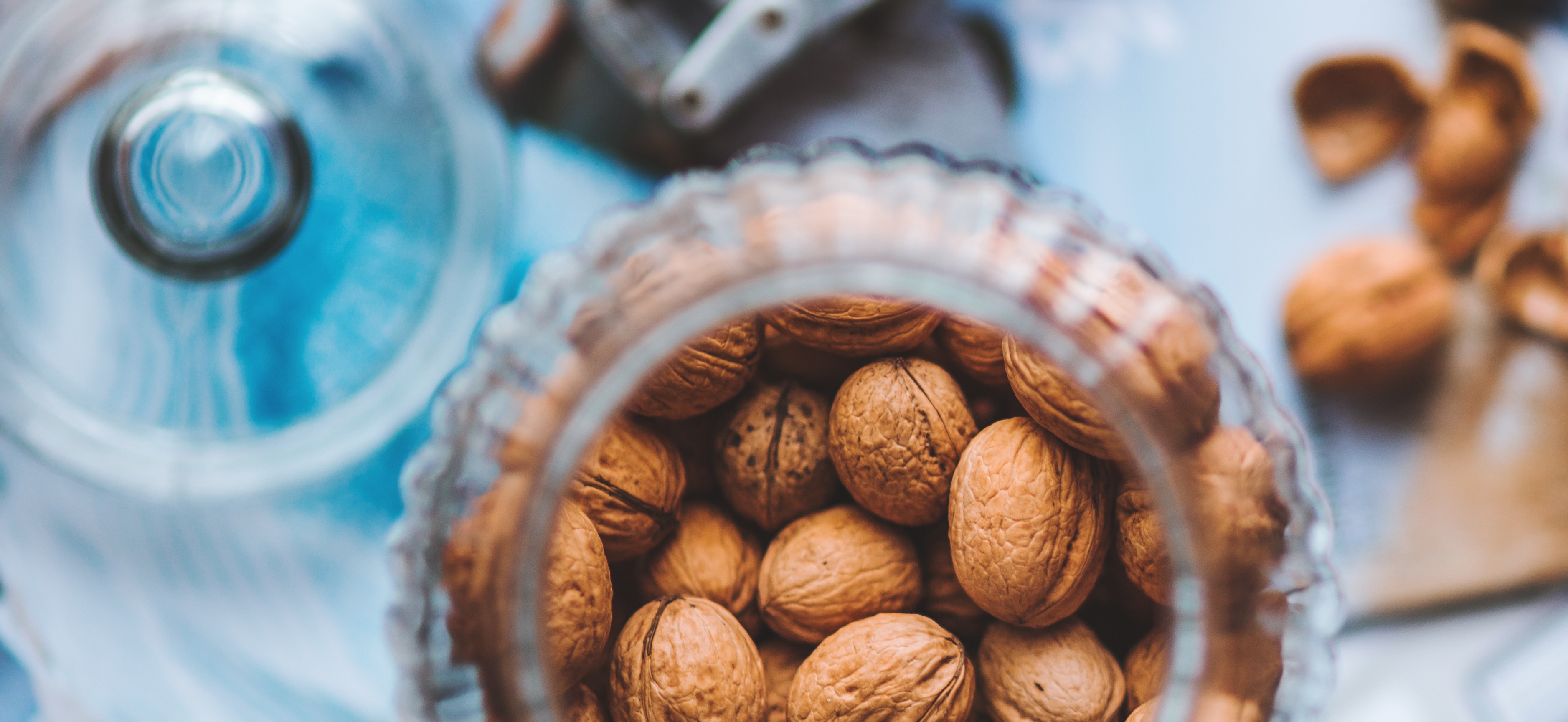 Why Nuts are Great for You Mount Alvernia Hospital Singapore