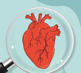 6 Fallacies about Heart Disease - Mount Alvernia Hospital