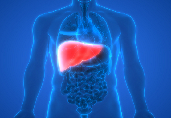 Do you have a healthy liver? | Mount Alvernia Hospital Singapore